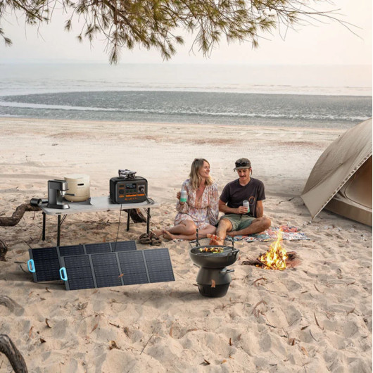 Animaux solaire pour tableau de bord Camping-car, Fourgon